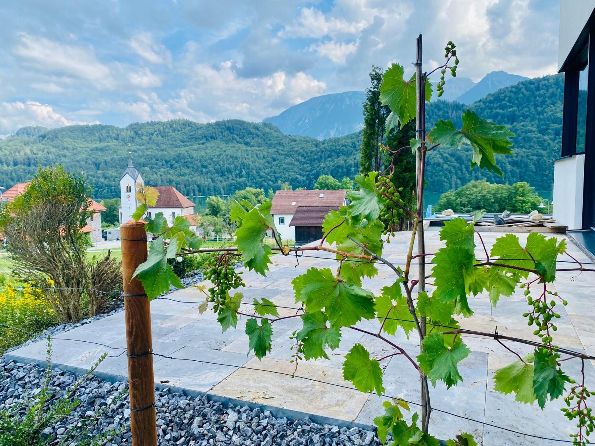 Luxury Mountain Lodge Фюссен Экстерьер фото